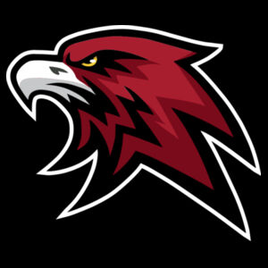 Hawks  - C-Force Mens Classic T Shirt Design